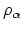 $\rho_{\alpha}$